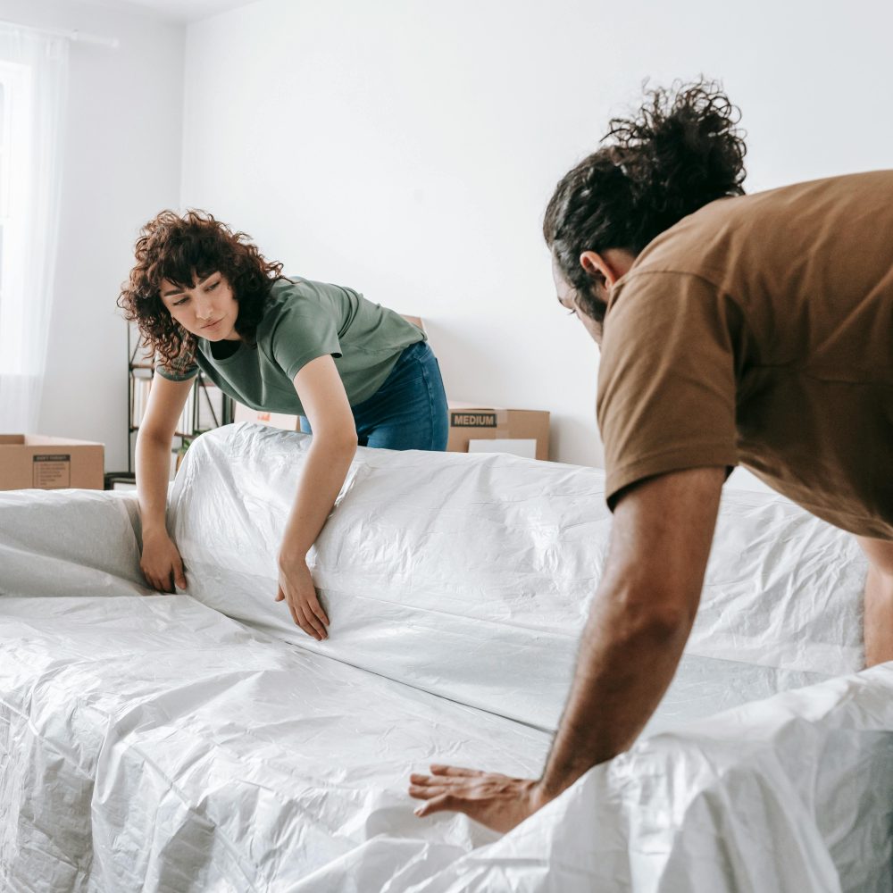 Furniture Cleaning